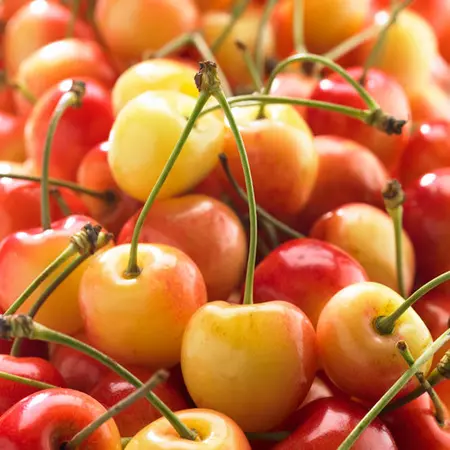 CERISES BIGAREAU NAPOLEON CAISSETTE (BLANCHES-ROSEES / RAINIER /BEL / LOT 262206 / CAISSE DE 2 KG / QUALITE +++)