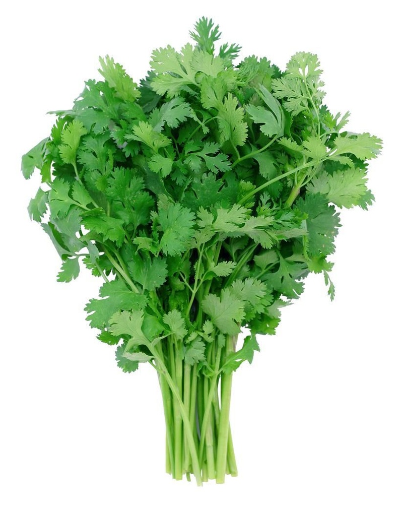 HERBE CORIANDRE 200 GR