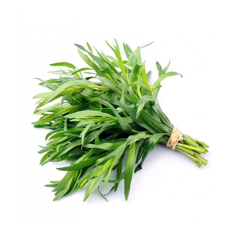 HERBE ESTRAGON 200 GR