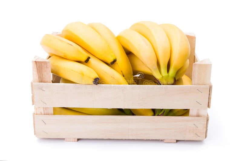 BANANES BIO EKO OKE CAISSE (PEROU / LOT 260204 / CAISSE DE +/- 19 KG)    (UNIQUEMENT VENDU A LA CAISSE)