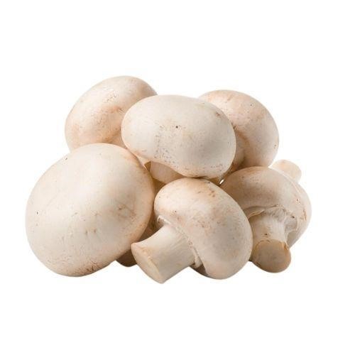 CHAMPIGNONS GROS VRAC KG (BEL / LOT 261203 / CAISSE DE 2 KG)
