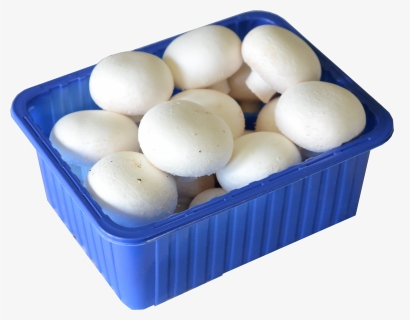 CHAMPIGNONS BLANCS RAVIER (BEL / LOT 261808 / CAISSE DE 6 RAVIERS DE +- 250 GR)