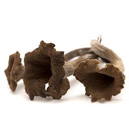 CHAMPIGNONS TROMPETTE DE LA MORT CAISSE (POL / LOT 262910 / CAISSE DE 3 KG)