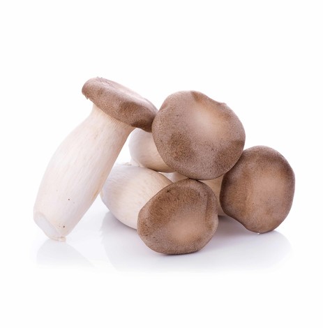 CHAMPIGNONS ERYNGI KG ( LOT 260110 / CAISSE DE 4 KG)