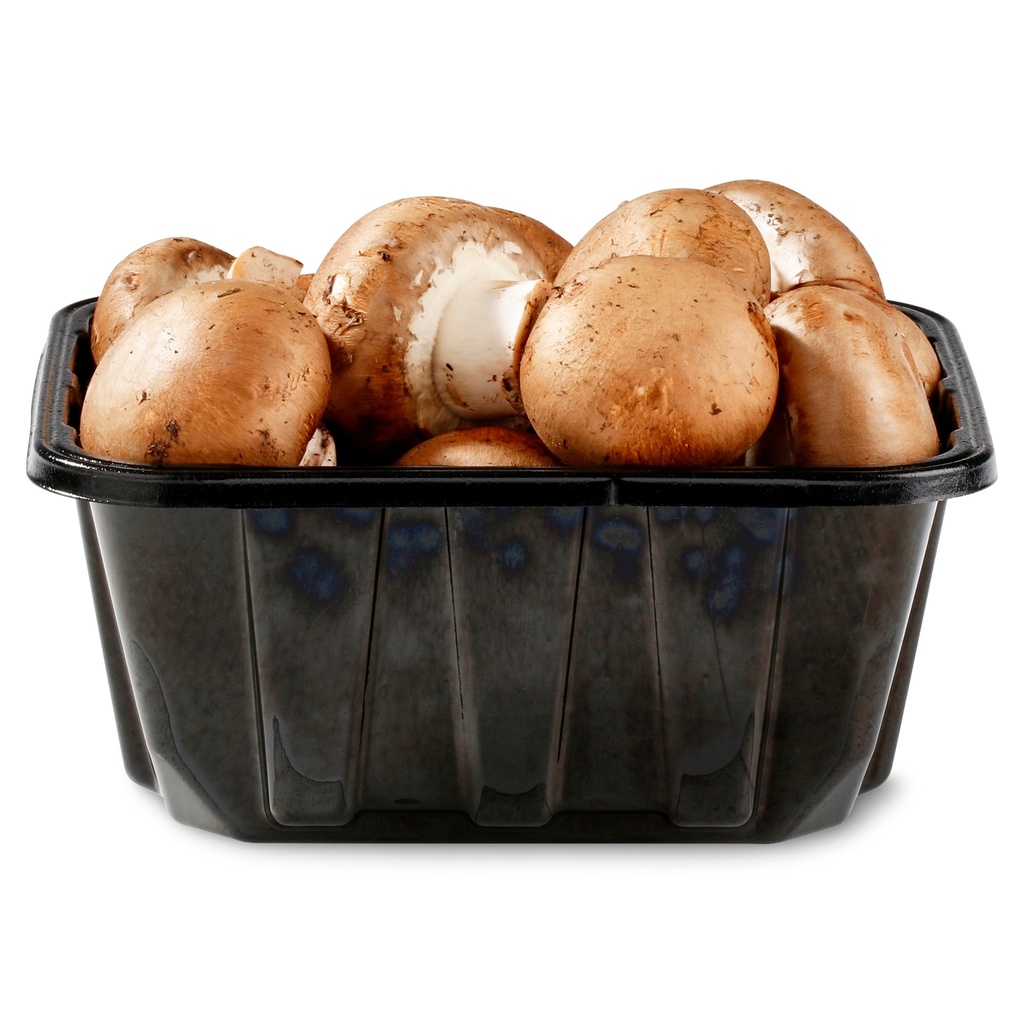CHAMPIGNONS PARIS BRUNS RAVIER (BEL / LOT 263108 / CAISSE DE 6X250 GR)