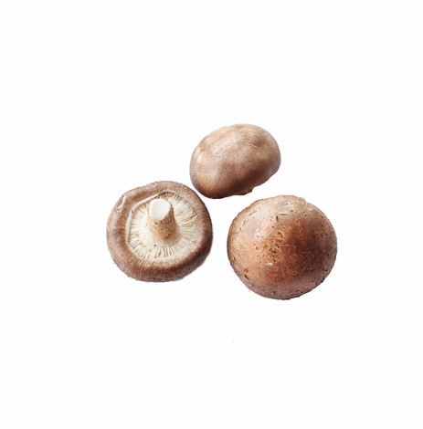 CHAMPIGNONS SHITAKE KG (BEL / LOT 262910 / CAISSE DE +/- 2 KG)