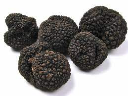 CHAMPIGNONS TRUFFES KG (Sur demande)