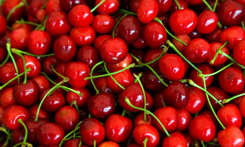 CERISES KG (SAMBA 3AEEX / BEL / LOT 040271 / CAISSE DE 5 KG)