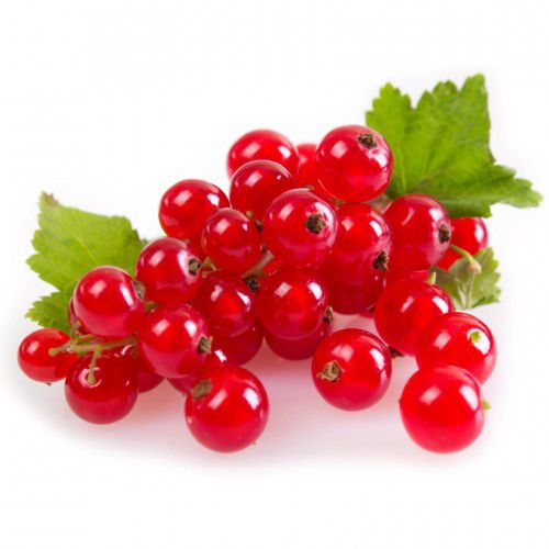 GROSEILLES ROUGES RAVIER (PAPILLON / P-B / LOT 0503024335 / CAISSE DE 12 RAVIERS DE 150 GR)