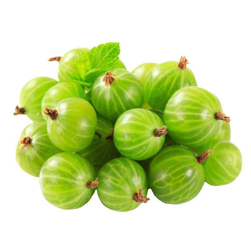 GROSEILLES VERTES RAVIERS (BELORTA / BEL / LOT  / CAISSE DE 12 RAVIERS DE 125 GR )