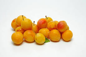 MIRABELLES KG (ALMERAS / FRANCE / LOT 263007 / CAISSE DE 5 KG)