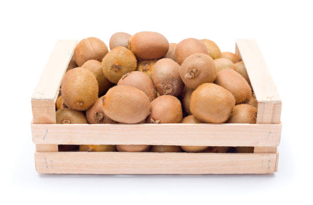 KIWIS VERTS CAISSE (ZESPRI / NZL / LOT 2630070001-2604080001 / CAISSE DE 104 PIECES)