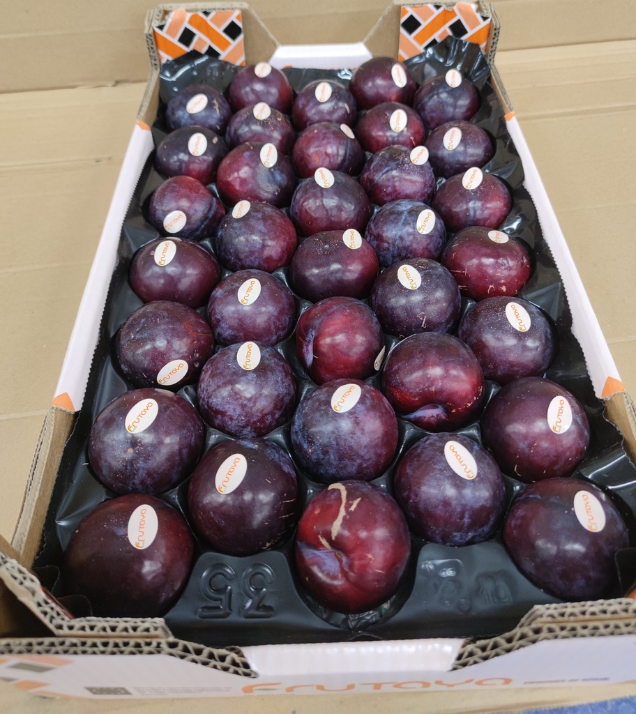 PRUNES ROUGES CAISSE (DU RODE / FR / LOT 260608 / CAISSE DE 10 KG)