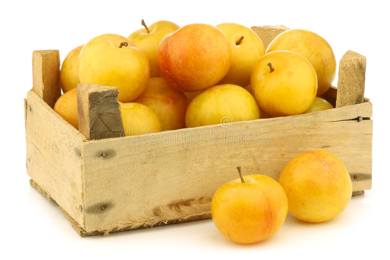 PRUNES JAUNES CAISSE (LILY / FR / LOT 261009 / CAISSE DE 4 KG)