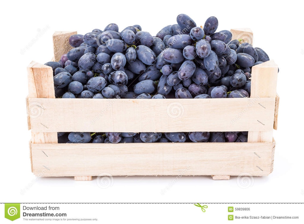 RAISINS NOIRS KG (PRIMA MEFFRE / LAVALLEE / FRANCE / LOT 262408 / CAISSE DE +-8.650 KG)