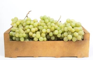 RAISINS BLANCS CAISSE (DANIA / AUTUMN C / PEROU / LOT 260704 / CAISSE DE 7.8 KG)