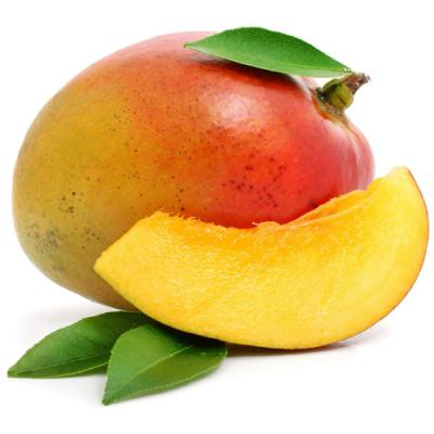 MANGUE AVION PIECE (ISR / LOT 261808)