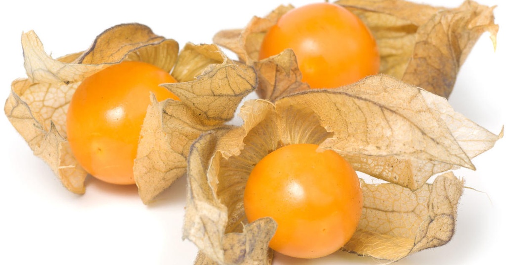 PHYSALIS RAVIER (SUANA-SANTANA / COL / LOT 2631080000 / CAISSE DE 12 RAVIERS DE 100 GR)