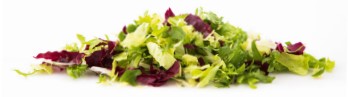 SALADE MIXTE ALLGRO SACHET 500GR
