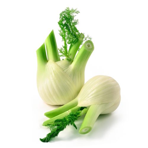 FENOUILS EN TRANCHE KG