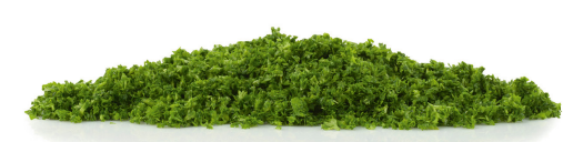 PERSIL HACHE SACHET 200GR