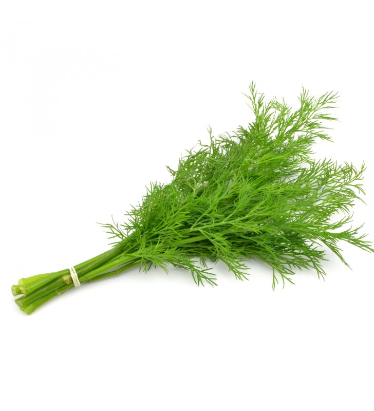 HERBE ANETH RAVIER 40 GR