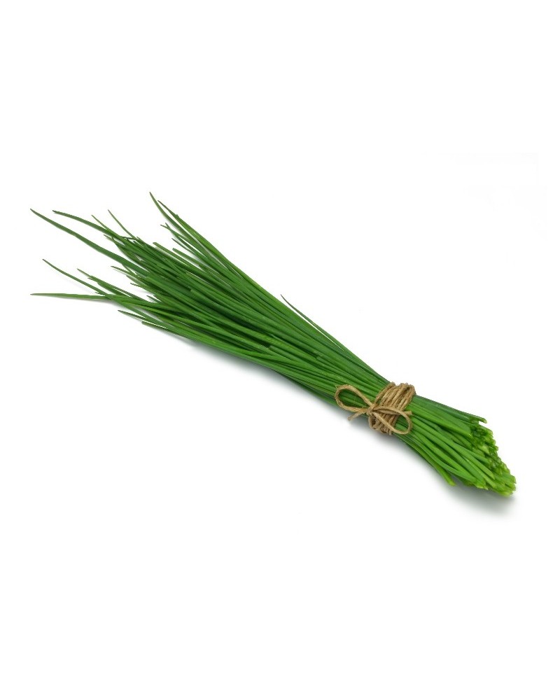 HERBE CIBOULETTE RAVIER 40 GR