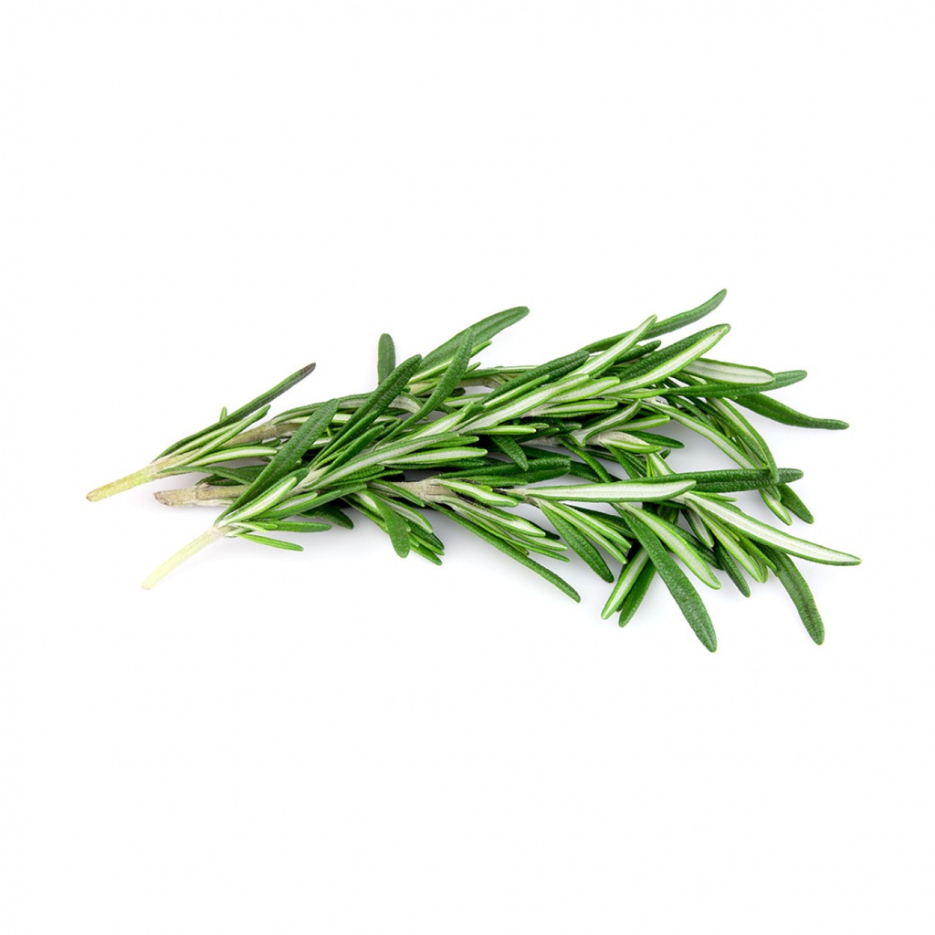 HERBE ROMARIN POT (PAYS)