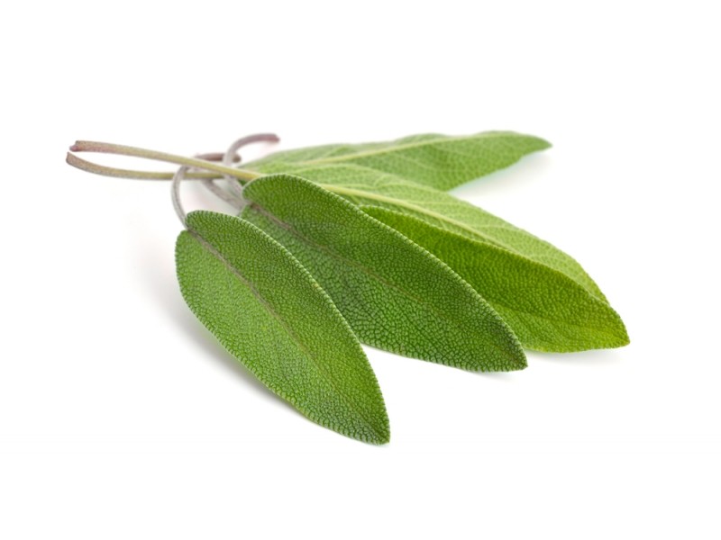 HERBE SAUGE RAVIER 40 GR