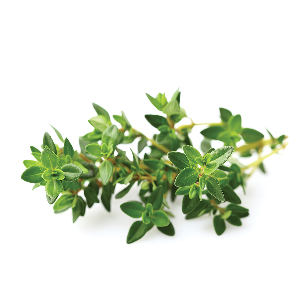HERBE THYM RAVIER 40 GR