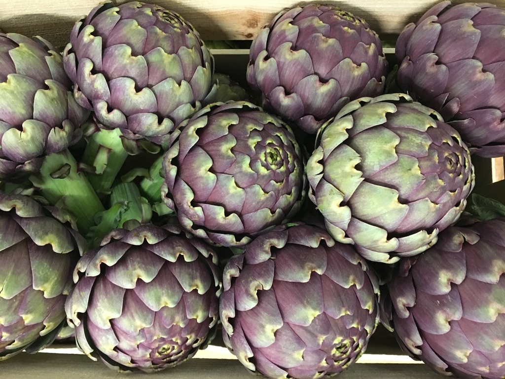 ARTICHAUTS VIOLETS BOTTE (IT / LOT / CAISSES DE 12 BOTTES)
