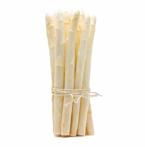 ASPERGES BLANCHES BOTTE (PEROU / LOT 261409 / CAISSE DE 10 BOTTES DE 500GR)