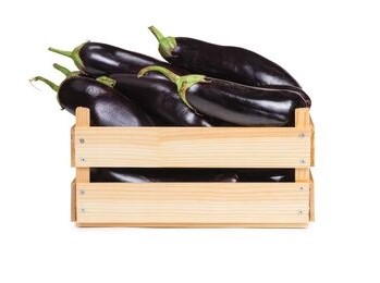AUBERGINES CAISSE (BEL / LOT 262104 / CAISSE DE 5 KG - CAL 1)