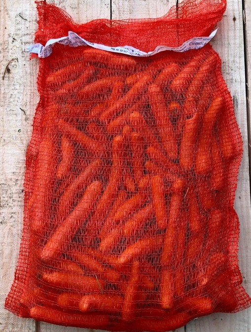 CAROTTES FOURRAGERES SAC (20 KG / BEL / LOT 262201)