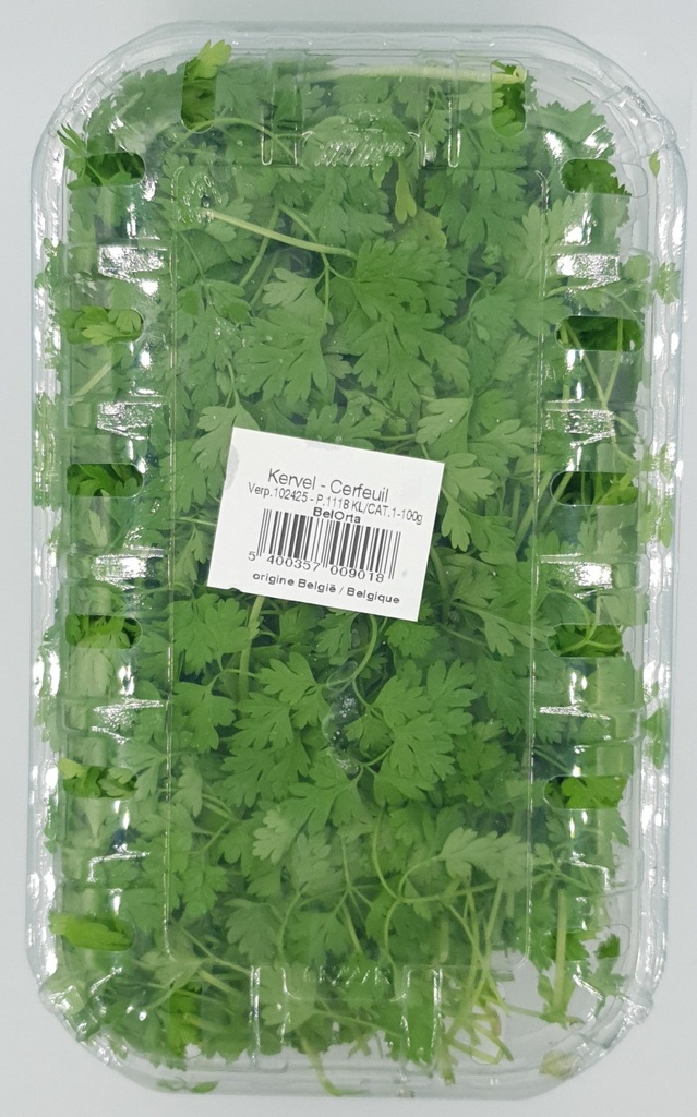 CERFEUIL RAVIER (BEL / LOT 260503 / CAISSE DE 4 RAVIERS DE 100 GR)
