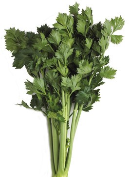 CELERI FRANCAIS VERTS PIECE (ITA / LOT 261604 / CAISSE DE 12 PIECES)