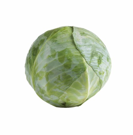 CHOU BLANC PIECE (BEL / LOT 260503 / CAISSE DE 6 PIECES)