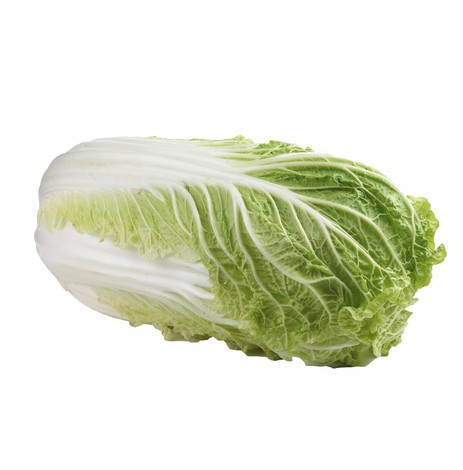 CHOU CHINOIS PIECE (BEL / LOT 262804 / CAISSE DE 6 PIECES)