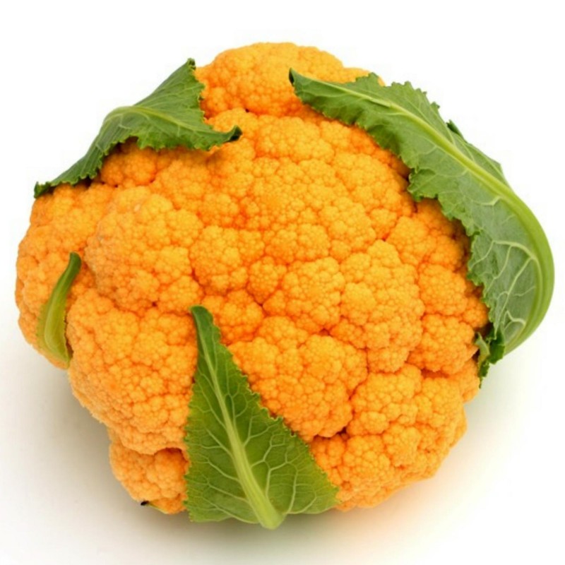 CHOU FLEUR ORANGE PIECE (BEL / LOT 262909 / CAISSE DE 6 PIECES)