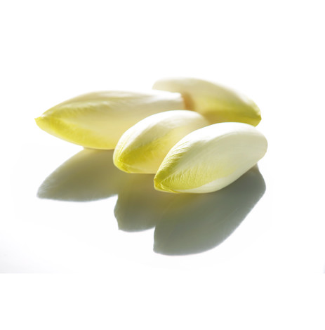 CHICONS KG (BEL / LOT 262304)