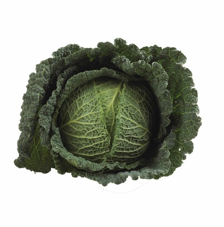 CHOU VERT PIECE (BEL / LOT 262104 / CAISSE DE 7 PIECES)