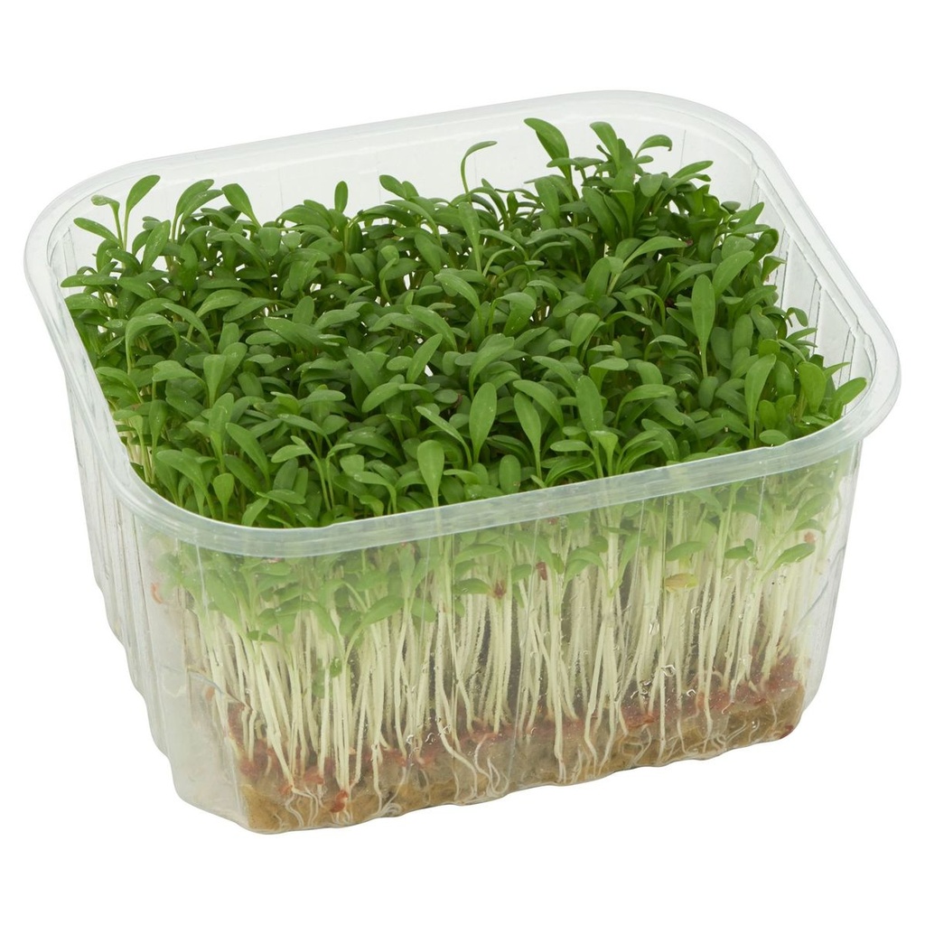 CRESSONNETTE AU RAVIER (BEL / LOT 250802 / CAISSE DE 6 RAVIERS DE 100GR)