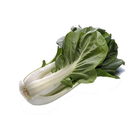 EPINARD BETTE BOTTE (IT / LOT 260203 / CAISSE DE 10 PIECES)