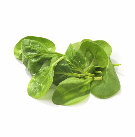 EPINARD VRAC KG (BEL / LOT 262804 / CAISSE DE 4 KG)