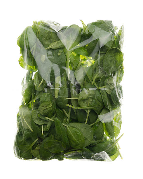 EPINARD POUSSE SACHET (IT / LOT 262409 / SACHET DE 450 GR)