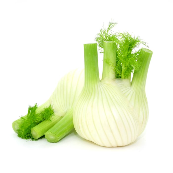 FENOUIL PIECE (ITA / LOT 262603)