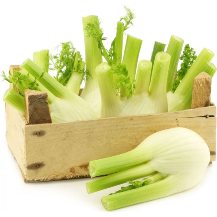 FENOUILS CAISSE (ITALIE / LOT 261203 / CAISSE DE 10 PIECES)