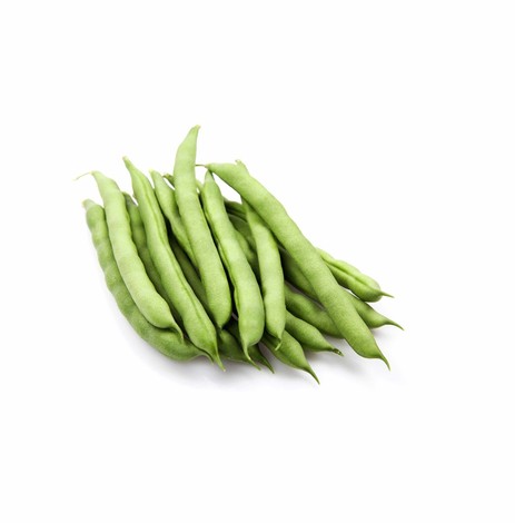 HARICOTS PRINCESSES KG (BEL / LOT 262408 - 261308 / CAISSE DE 4 KG)