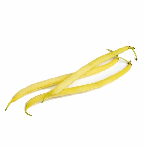 HARICOTS BEURRE KG (BEL / LOT 260408 / CAISSE DE 3 KG)