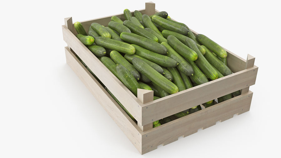 CONCOMBRE CAISSE (BEL / LOT 263004 / CAISSE DE 24 PIECES)